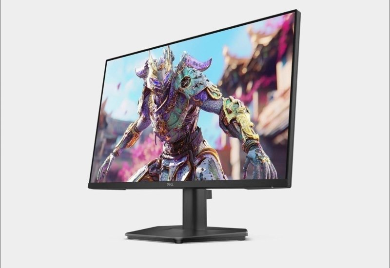 Monitor Dell Gaming 24" Full HD – 240Hz – IPS 0.5ms AMD FreeSync Premium