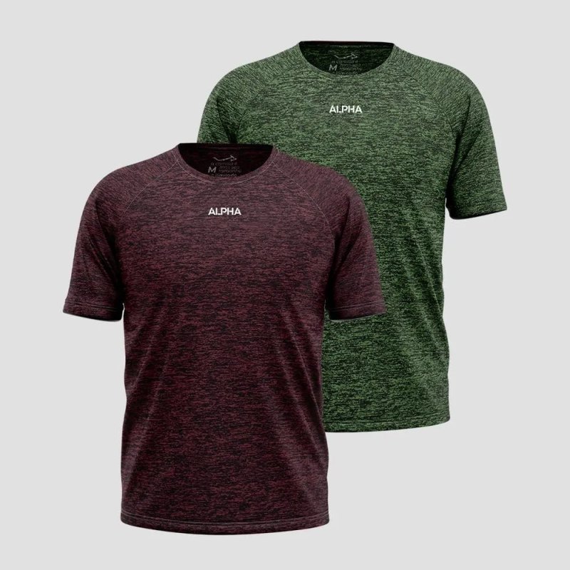 Kit 2 Camisetas Masculina Dry Alpha