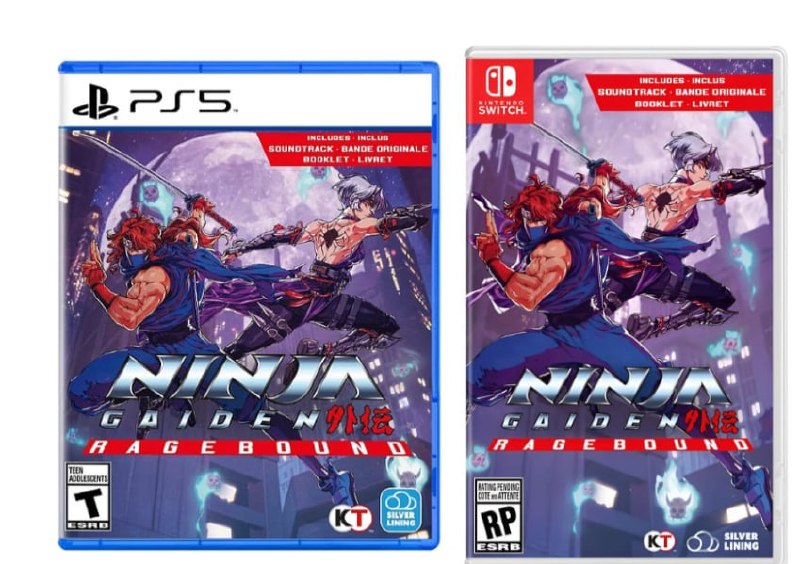 Ninja Gaiden Ragebound