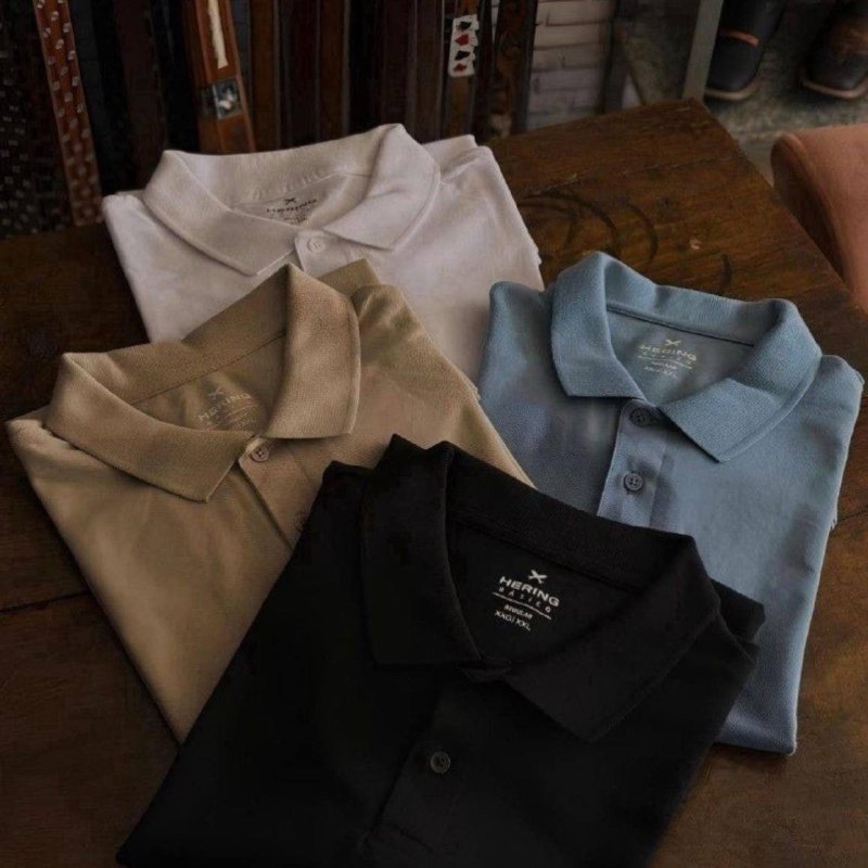 Kit Com 2 Camisas Polo Básicas Masculinas Hering + Frete Grátis
