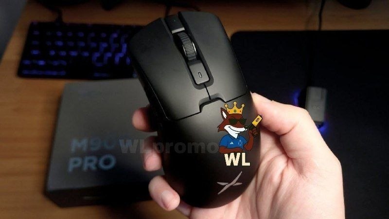 MOUSE DELUX M900 PRO