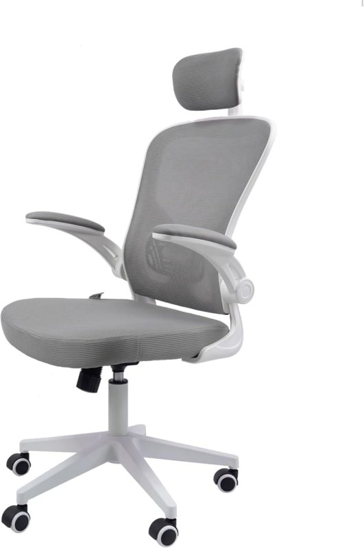 Rohden Eurynom - Cadeira Ergonômica Giratória - Encosto Reclinável Apoio Lombar - Cinza