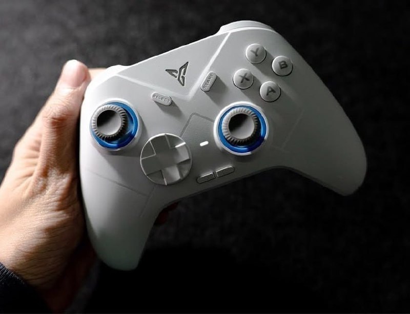 APP - Controle Flydigi Direwolf 4