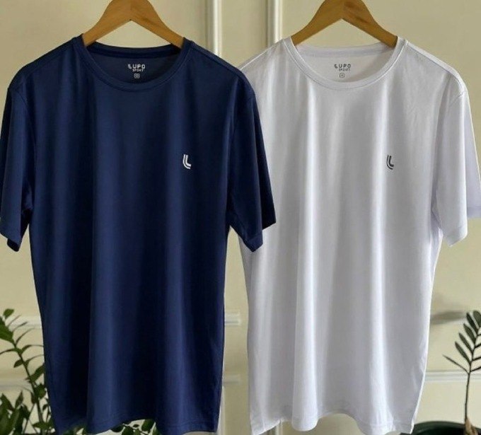 Kit 2 Camiseta Dry Fit Masculina Lupo Básica Academia + Frete Grátis