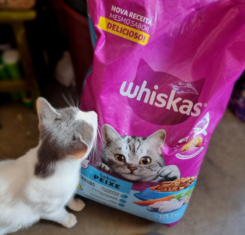 Ração Whiskas Para Gatos Adultos Castrados Sabor Peixe 10,1Kg