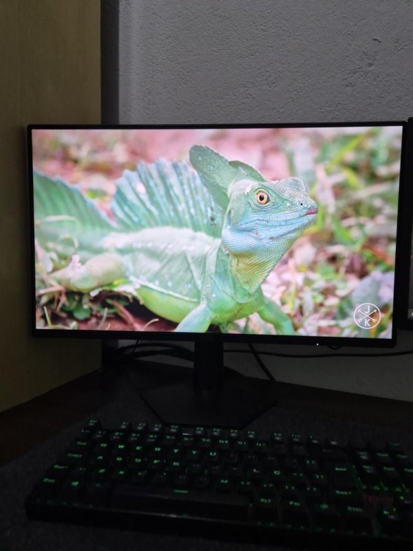 Monitor Gamer AOC AGON G50 24" 144Hz 0,5ms IPS HDR10 G-SYNC 24G50F
