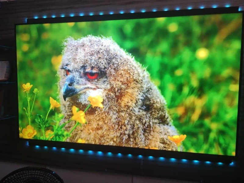 SEMP, Smart TV 4K UHD, 55", Google TV, Google Assistente, Comando por Voz, Googlecast Integrado