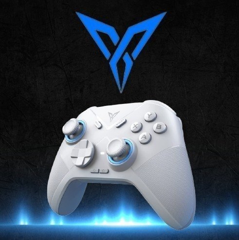 Controle Flydigi Direwolf 4