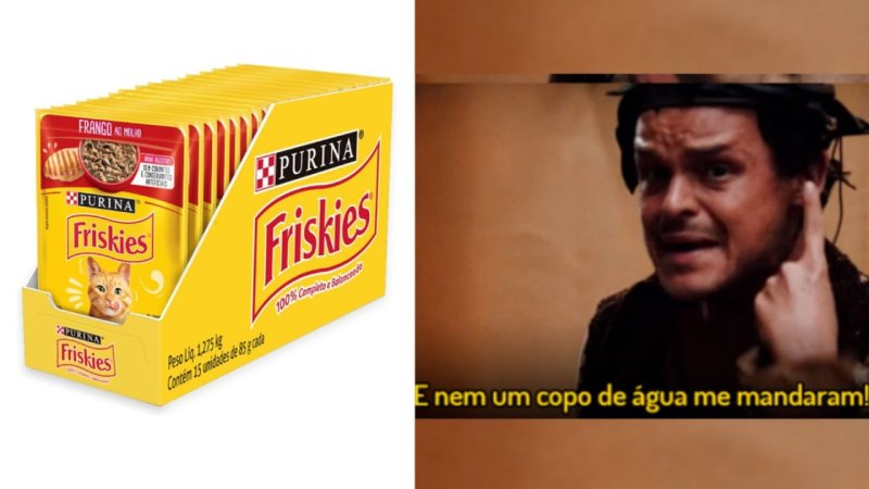 Pack Nestlé Purina Friskies Ração Para Gatos Adultos Com 15 Sachês 85g