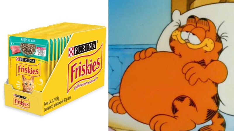 Pack Nestlé Purina Friskies Ração Para Gatos Adultos Atum Ao Molho Com 15 Sachês 85g