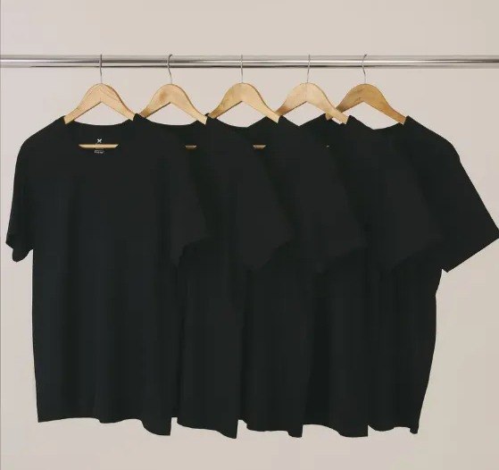Kit 5 Camisetas Hering Básicas Originais