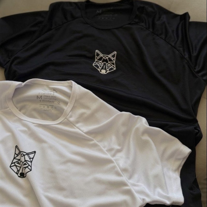 Kit 2 Camisetas Masculina Dry Alpha
