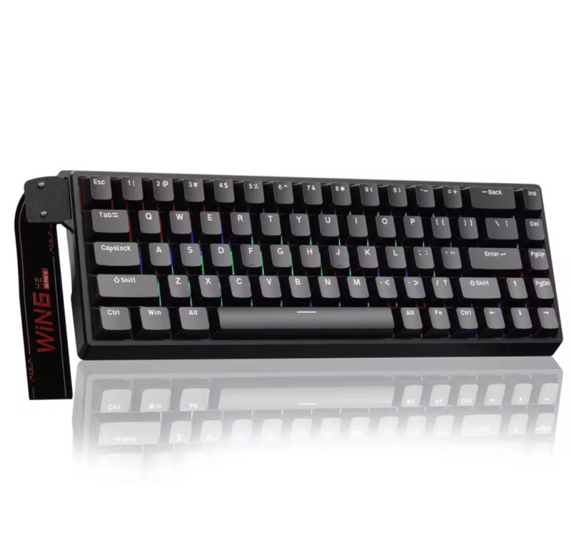 Magnetic eSports Keyboard Aula Win 68 HE