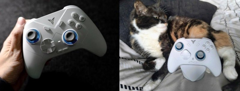 Controle Flydigi Direwolf 4