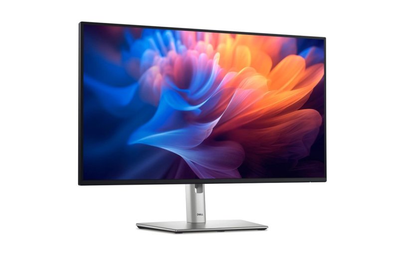 Monitor Dell 24" Full HD 100Hz