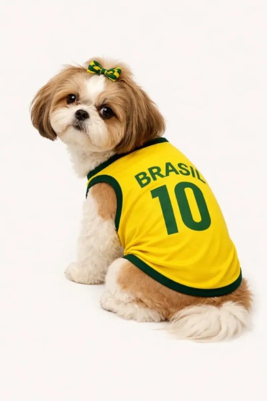 Camisa Pet Brasil Copa Número 10 Para Cachorro e Gatos