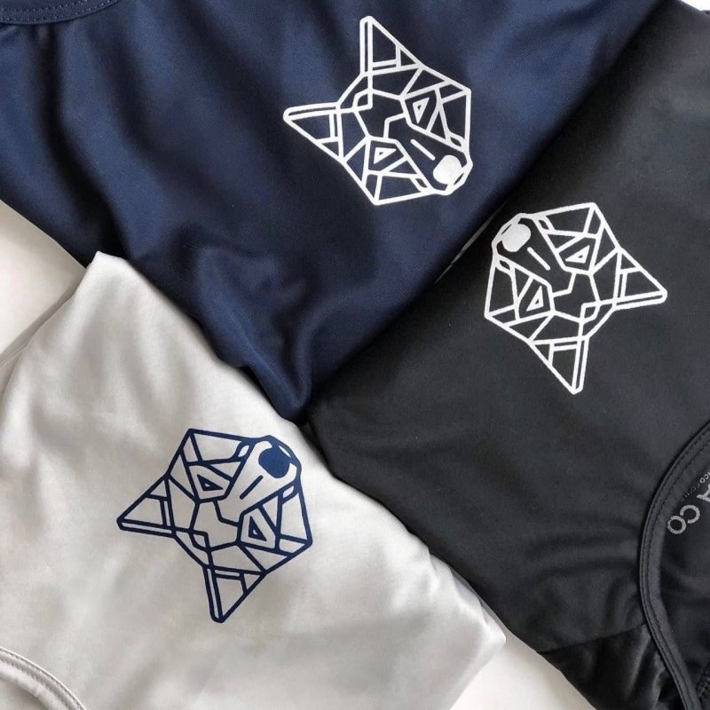 Kit 2 Camisetas Masculina Dry Alpha