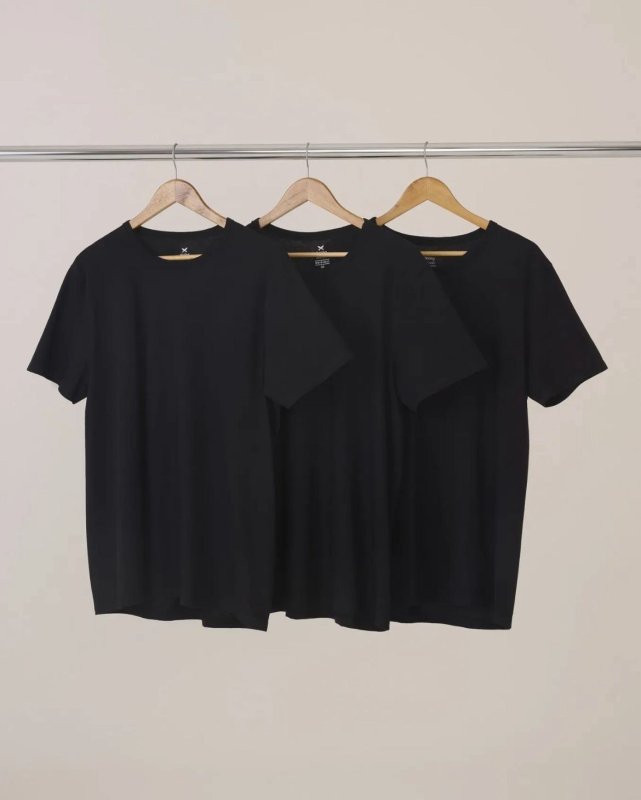 Kit Com 3 Camisetas Masculinas Básicas Slim Hering