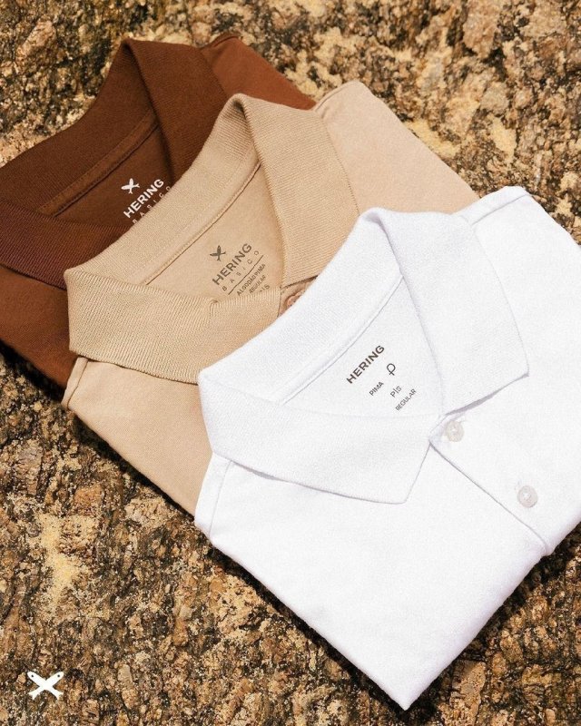 Kit Com 2 Camisas Polo Básicas Masculinas Hering