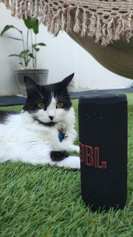 Festa Portátil JBL Caixa de Som Grip 16 W RMS Com Playtime Boost IP68 Preto