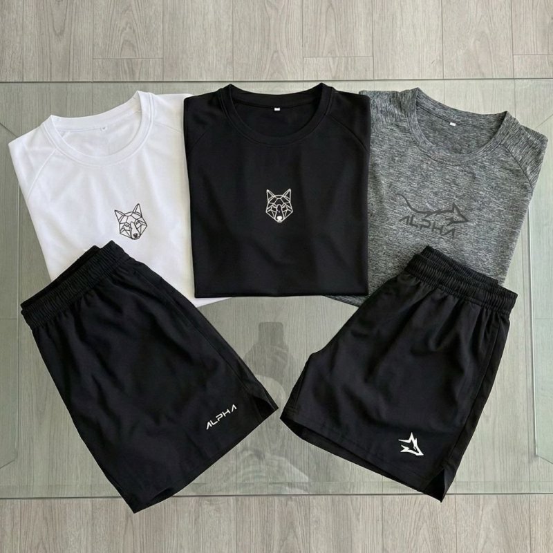 Kit para o Treino - 5 Peças Dry 3 Camisetas E 2 Bermudas Alpha