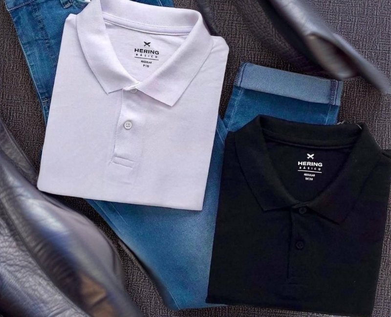 Kit Com 2 Camisas Polo Básicas Masculinas Hering