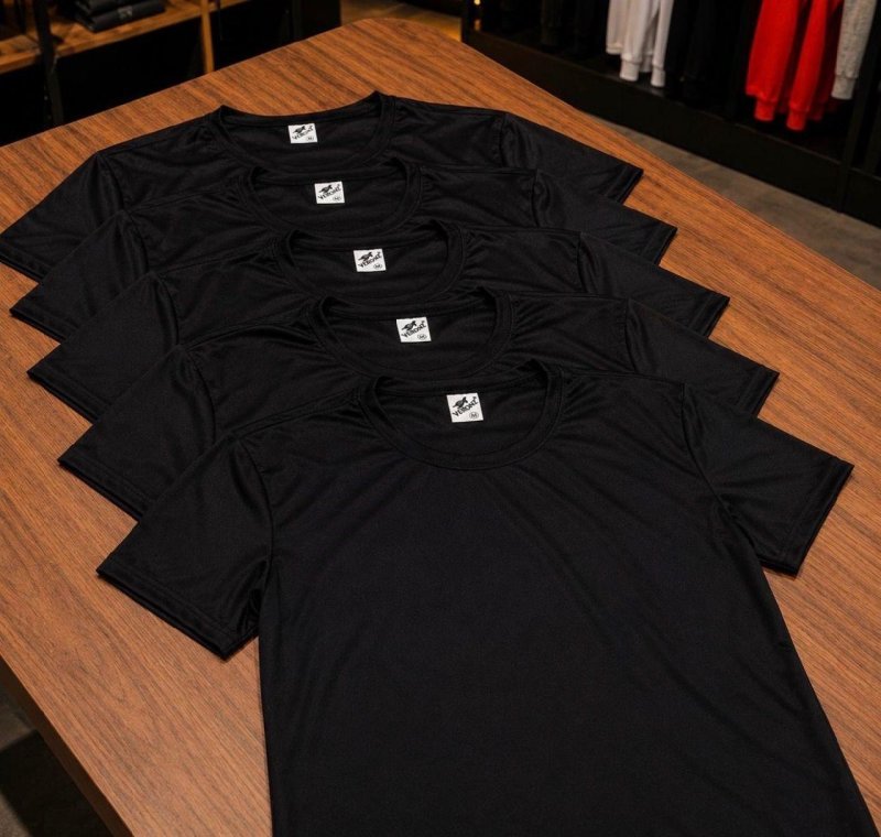 Kit 5 Camisetas Básicas Masculina Dry Fit