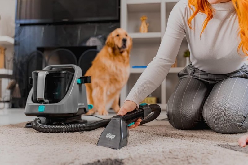Extratora Portátil WAP SPOT CLEANER W2