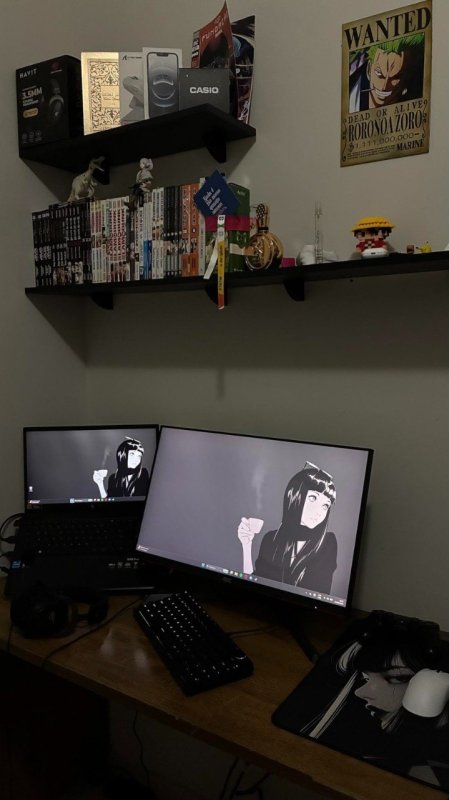Monitor Gamer AOC Destiny 24,5 Polegadas 25G3ZM + Frete Grátis
