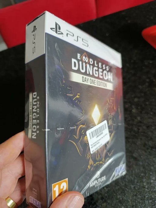 The Endless Dungeon Day One Edition - PS5