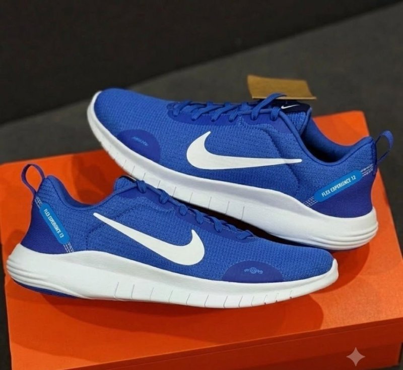 Tênis Nike Flex Experience Run 12 Masculino