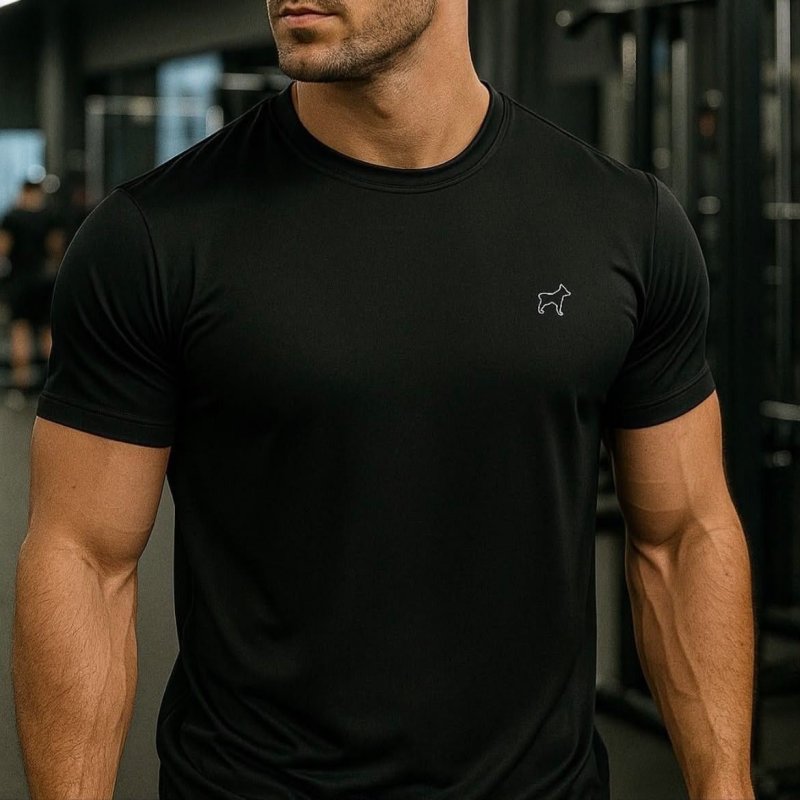 Kit 4 Camisetas Dry Fit Parvori Masculina Academia Corrida
