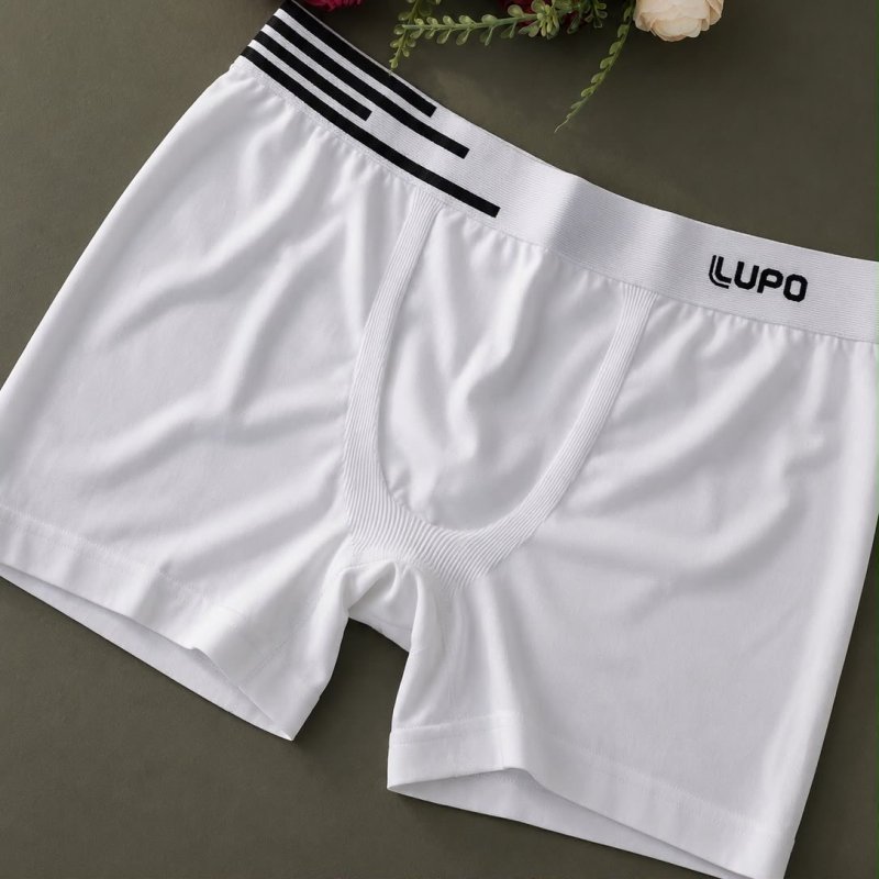 Kit 4 Cuecas Lupo Boxer Poliamida Box Sem Costura Original