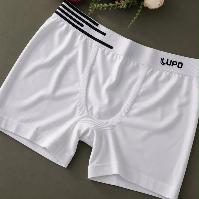 Kit 4 Cuecas Lupo Boxer Poliamida Sem Costura Original