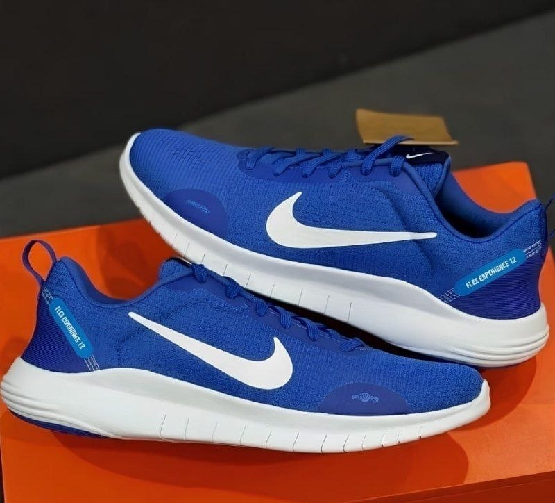 Tênis Nike Flex Experience Run 12