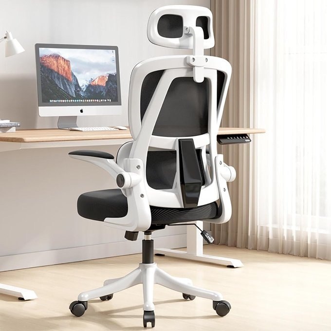 Cadeira de Escritório com Almofada de Assento de Látex EKROTOK Ergonômica com Apoio Lombar