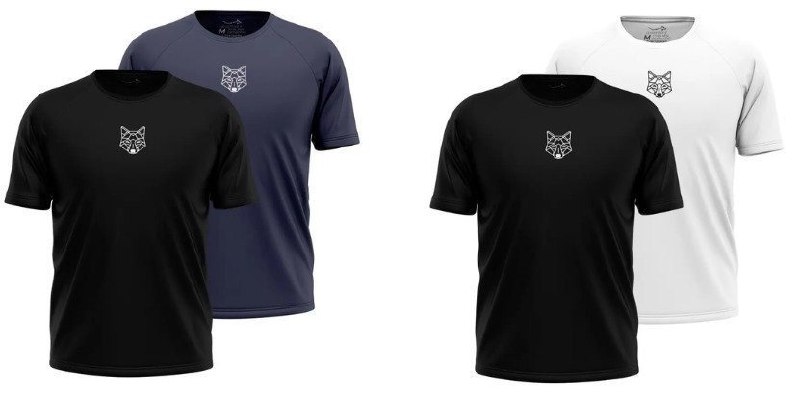 Kit com 2 Camisetas Masculina Dry Alpha (várias cores)