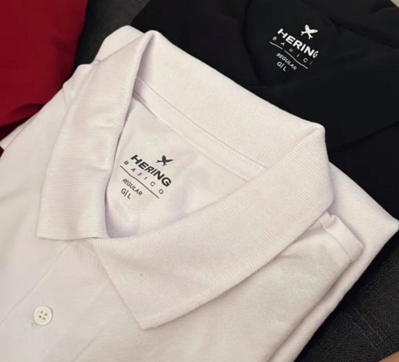 Kit Com 2 Camisas Polo Básicas Masculinas Hering