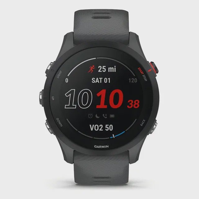 Garmin Forerunner 255 46mm Cinza