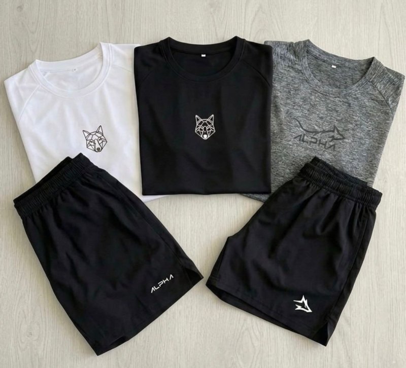 Kit 5 Peças Dry 3 Camisetas E 2 Bermudas Alpha
