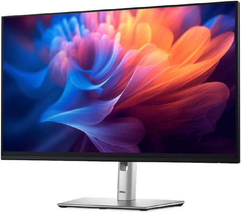 Monitor Dell Pro 24” Plus Full HD IPS 100 Hz