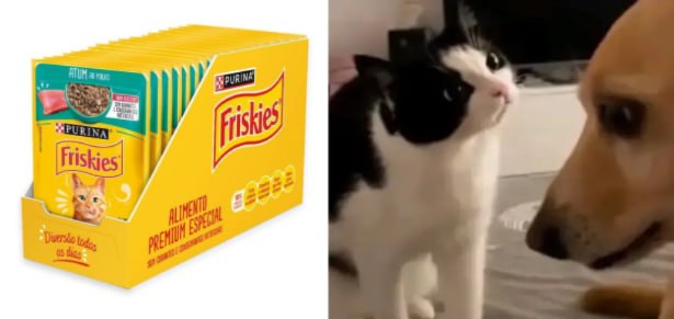 Pack 15 un. Nestlé Purina Friskies Ração p/ Gatos Atum Ao Molho 85g
