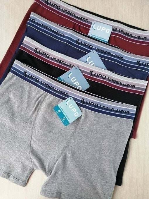 Kit 4 Cuecas Boxer Lupo Algodão + Frete Grátis