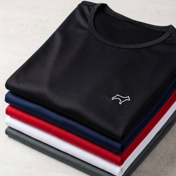 Kit com 5 Camisetas Parvori Dry Fit + Frete Grátis