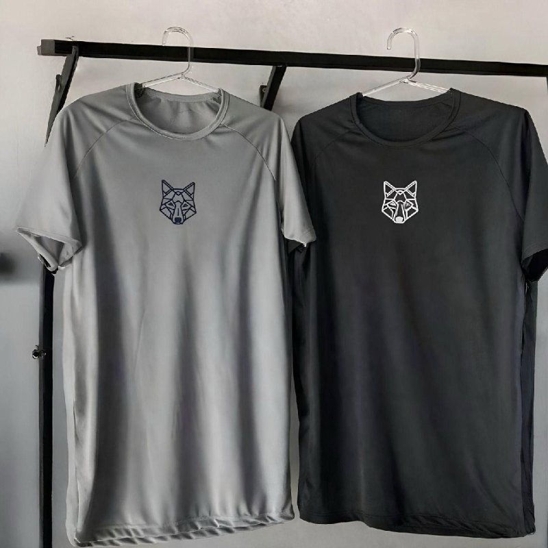 Kit 2 Camisetas Masculina Dry Alpha