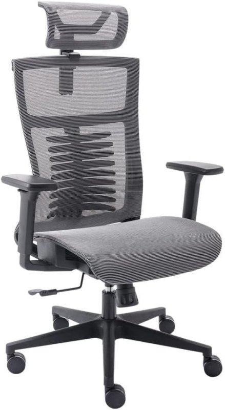 Vertta Pro - Cadeira Ergonomica com Encosto Lombar e Apoio de Cabeça
