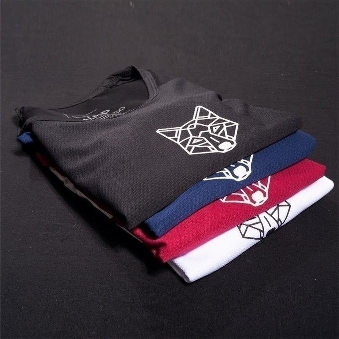 Kit com 3 Camisetas Dry Alpha Lobo + Frete Grátis