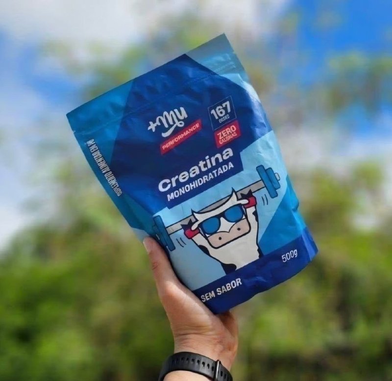 Refil Creatina Monohidratada Sem Sabor 100% Puro 500g