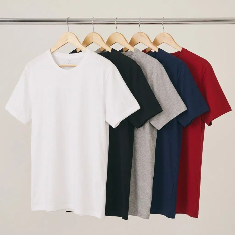 Kit 05 Camisetas Hering Básicas