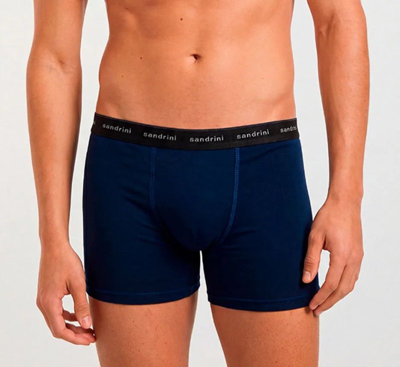 Kit 10 Cuecas Boxer Sandrini Masculinas Algodão